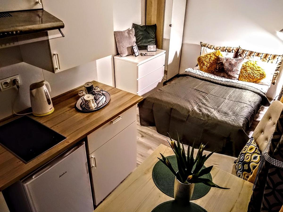 Butikevita Spodek By Walk Apartment Катовице Екстериор снимка