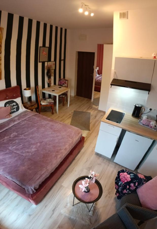 Butikevita Spodek By Walk Apartment Катовице Екстериор снимка